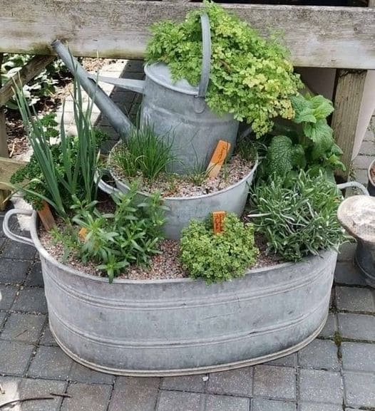 Herb Garden in Repurposed Buckets