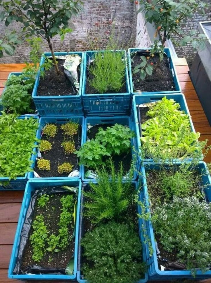 Innovative Crate-Based Urban Garden Design