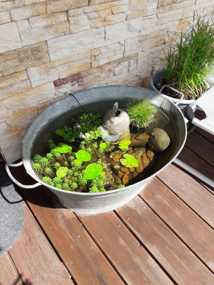 Large Bucket Water Garden Delight