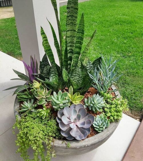 Lush Garden Arrangement