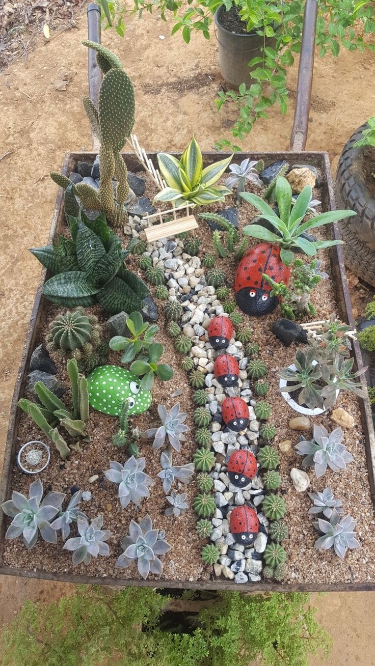 Playful Miniature Cactus Garden Design