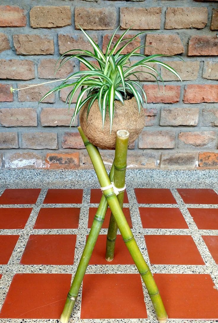 Rustic Bamboo Plant Stand