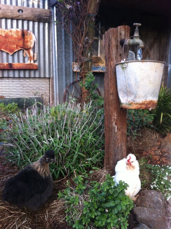 Rustic Bucket Fountain for Gardens