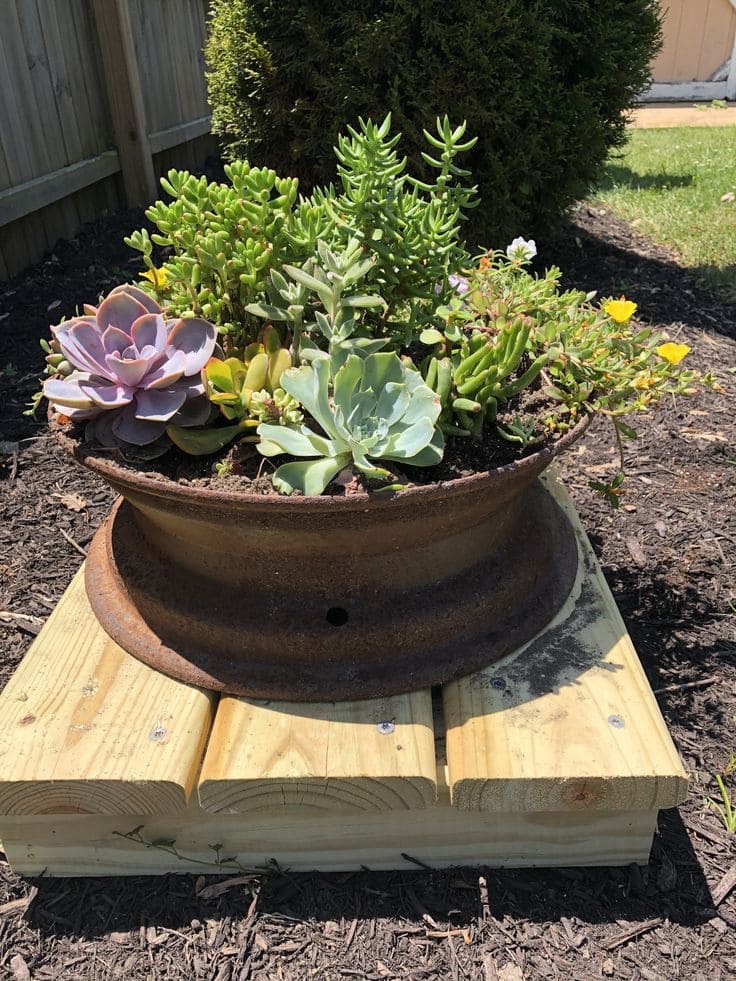 Rustic Charm Succulent Wheel Rim Planter