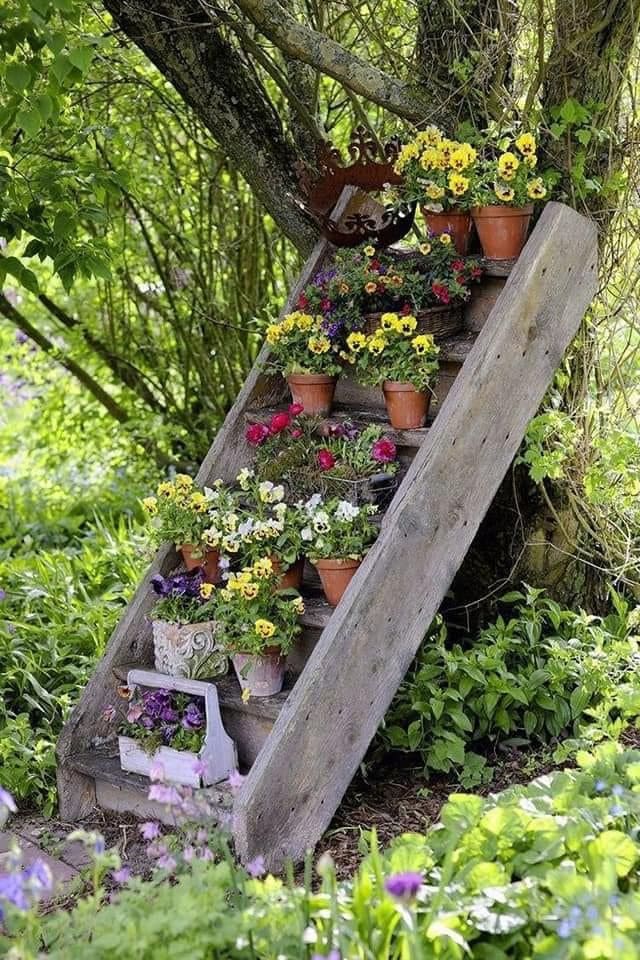 Rustic Ladder Planter for Tree Decor