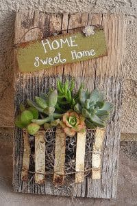 Rustic Succulent Garden Wall Art