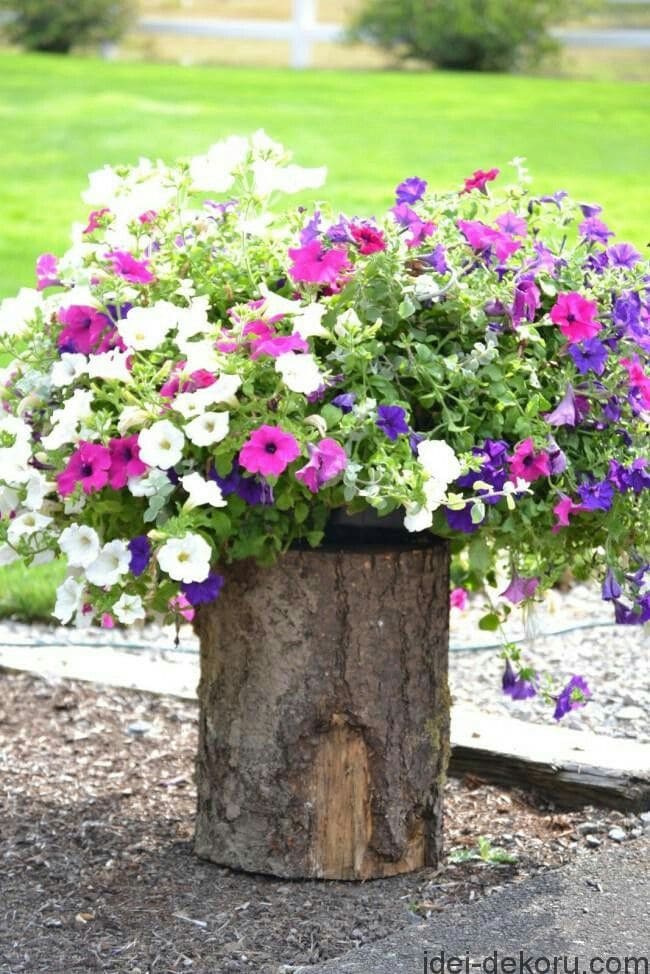 Rustic Tree Stump Petunia Planter