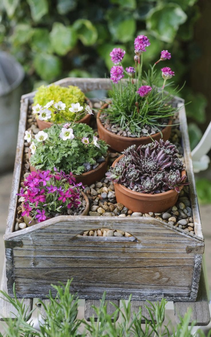 Rustic Wooden Tray Miniature Garden