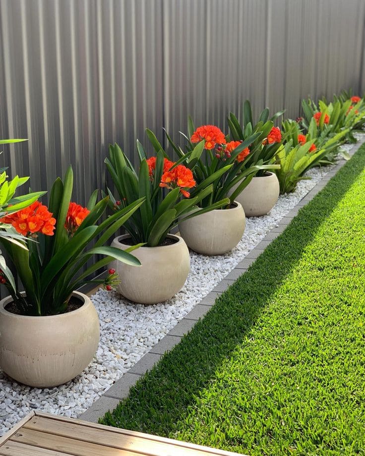 Sleek Modern Pots with Bold Blooms