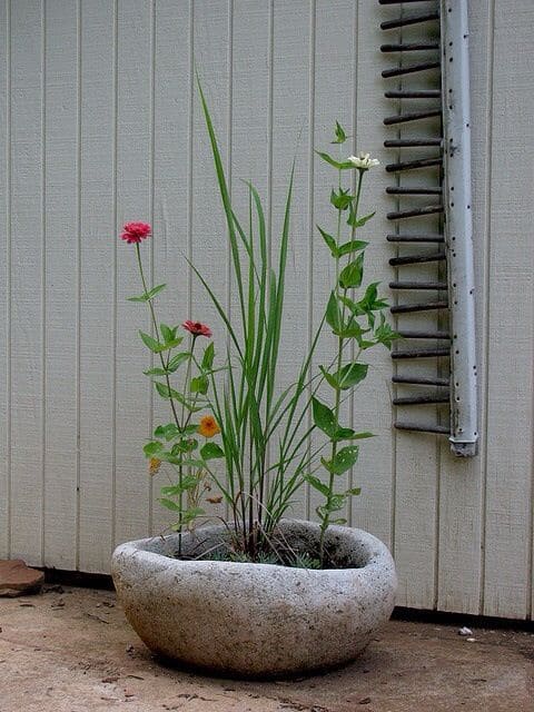 Timeless Elegance in Stone Bowl Planter