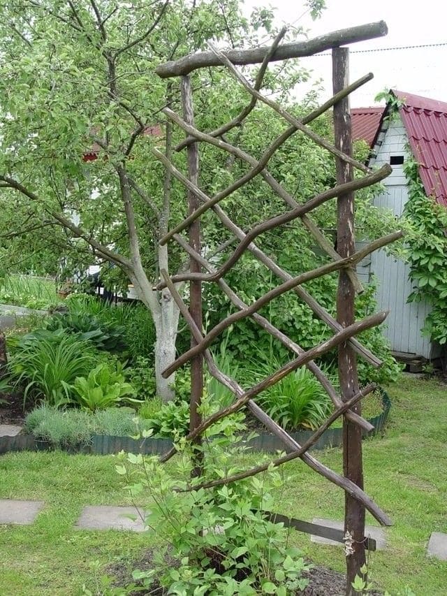 Twiggy Tapestry Garden Trellis