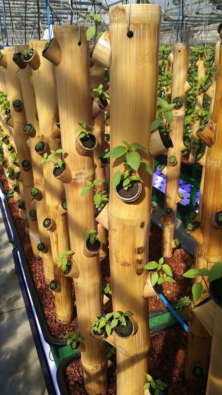 Vertical Bamboo Garden