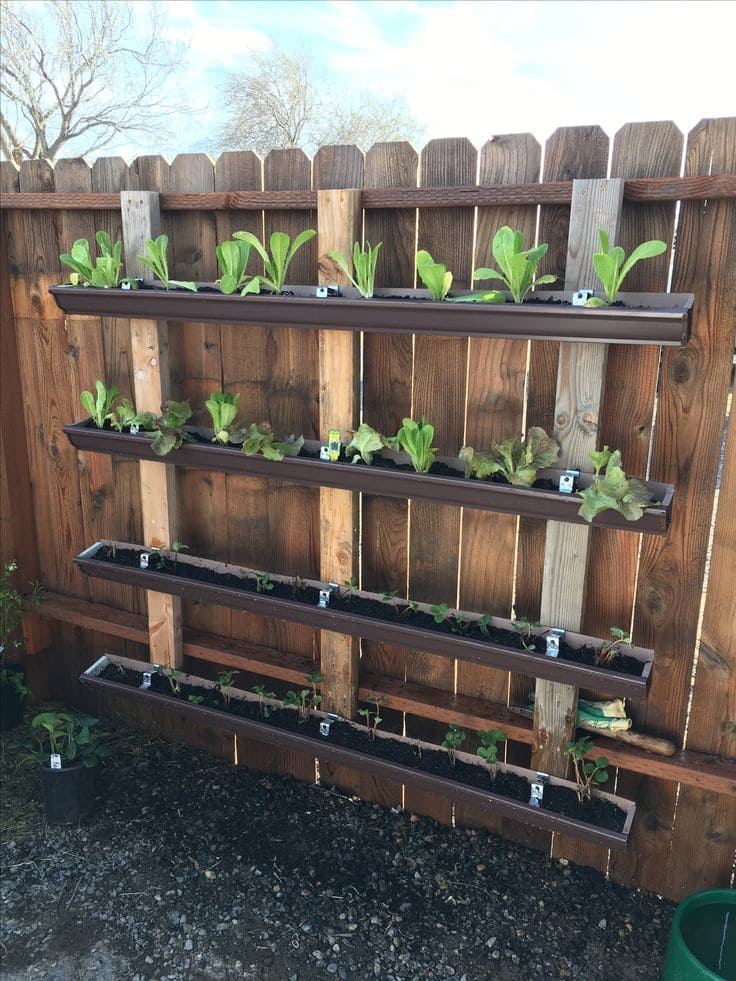 Vertical Garden on Fence Panels