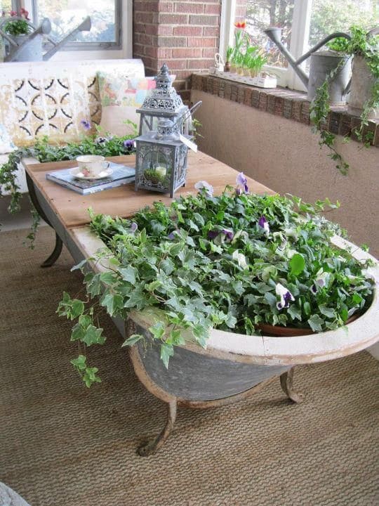 Vintage Bathtub Garden Coffee Table