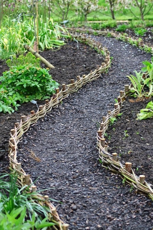 Winding Willow Pathway of Charm