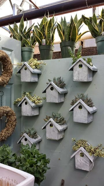 Charming Birdhouse Wall Planter Display