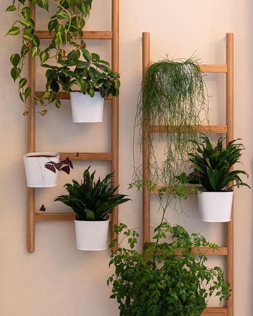 Charming Ladder-Style Wall Garden Planter
