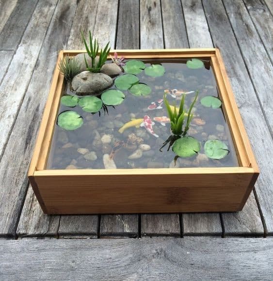 Charming Miniature Koi Pond with Rocks