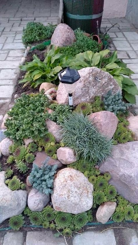 Charming Rock Garden for Compact Spaces