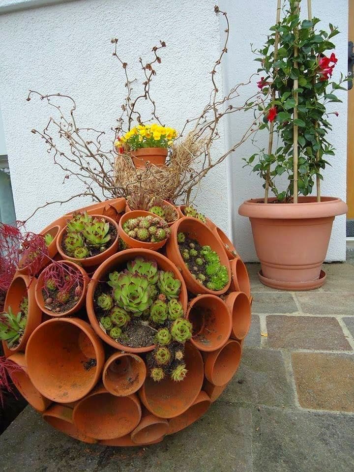 Charming Succulent Sphere Clay Pot Design