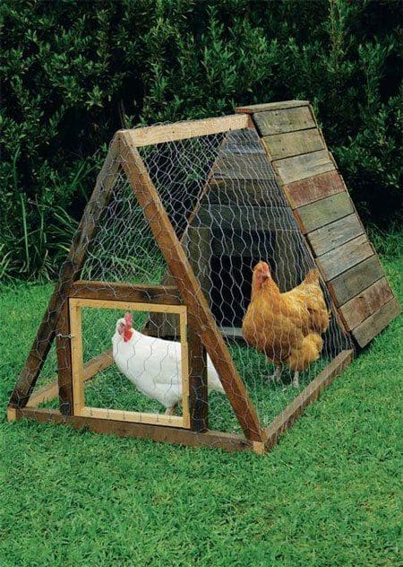 Compact and Charming A-Frame Chicken Coop