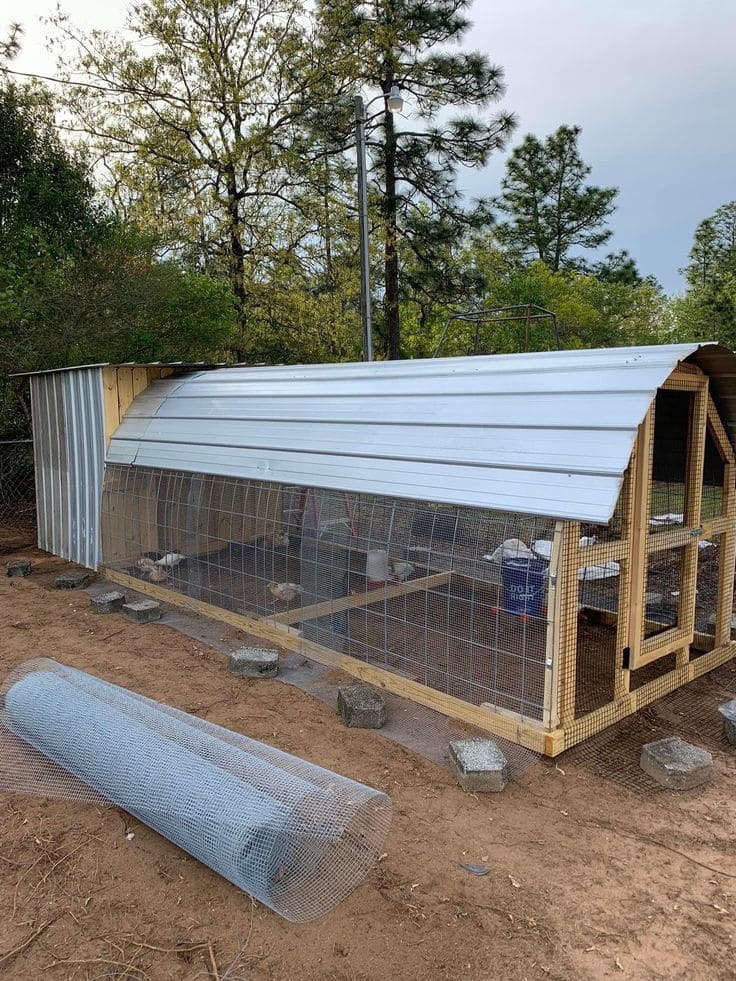 Durable Curved-Roof Chicken Sanctuary Design