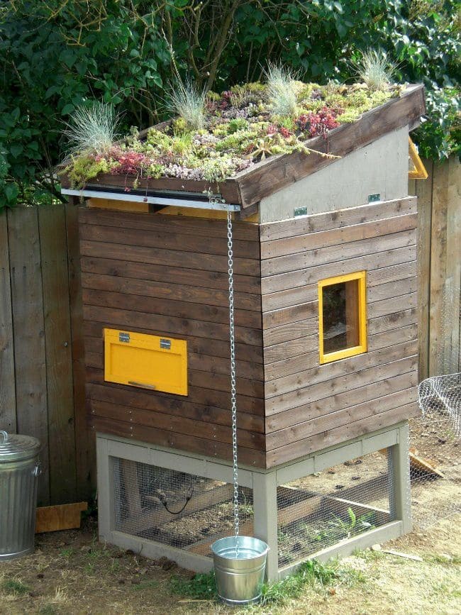 Eco-Friendly Chicken Coop with Green Roof