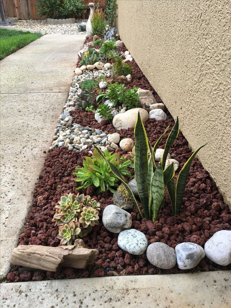 Elegant Succulent Border with Rock Layers