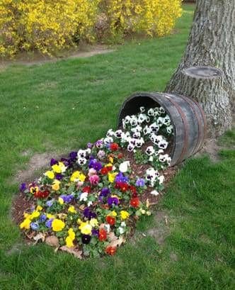 Enchanting Barrel of Blooming Pansies