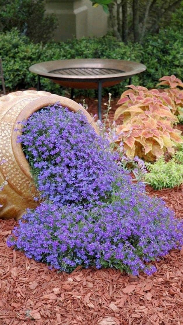 Enchanting Cascade of Blooms in the Garden