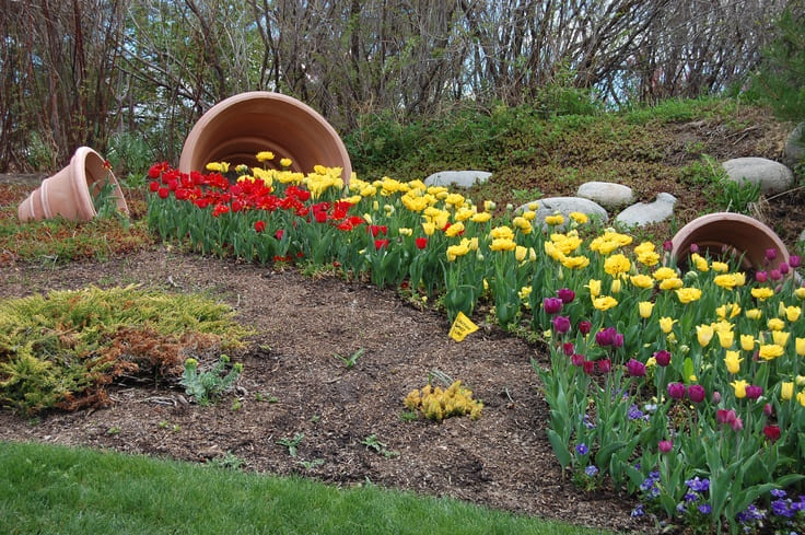 Enchanting Cascading Tulip Spill Garden