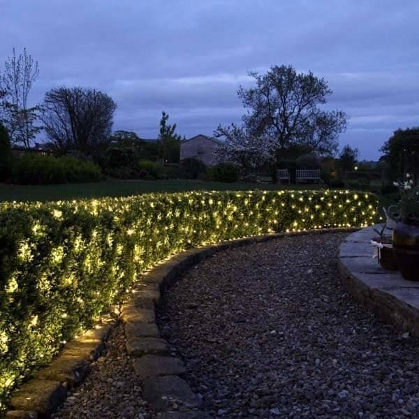 Glowing Hedge Pathway for Enchanting Evenings