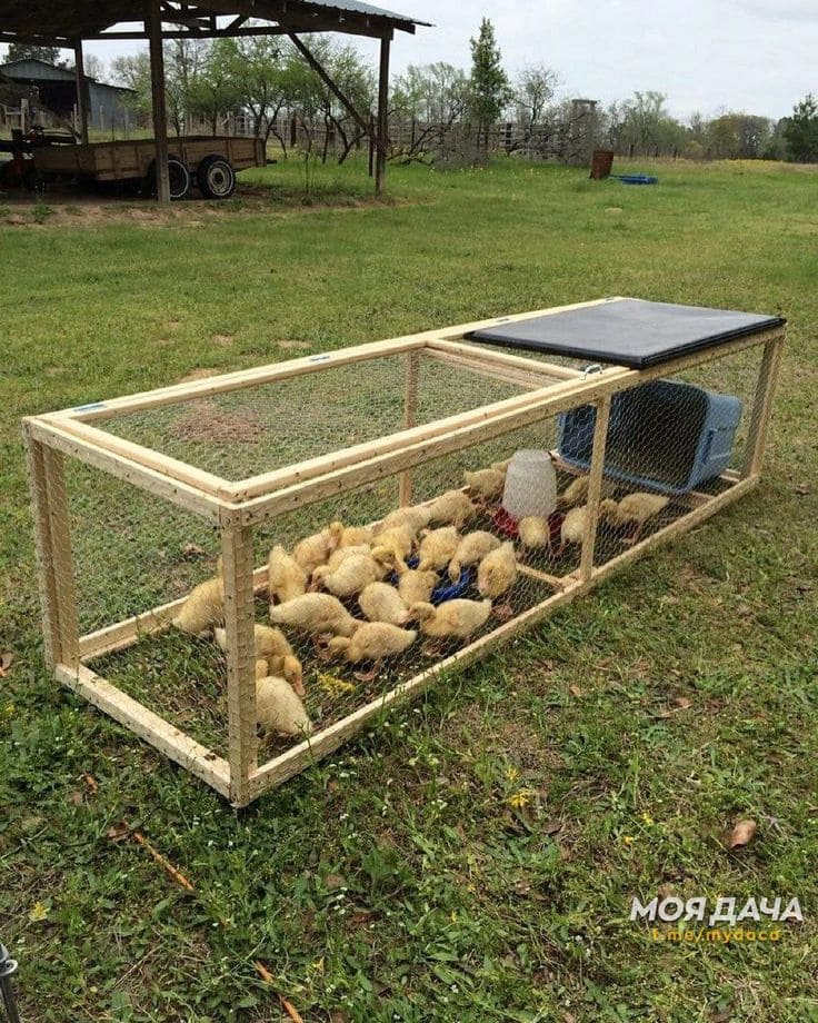 Lightweight and Portable Chicken Tractor Design