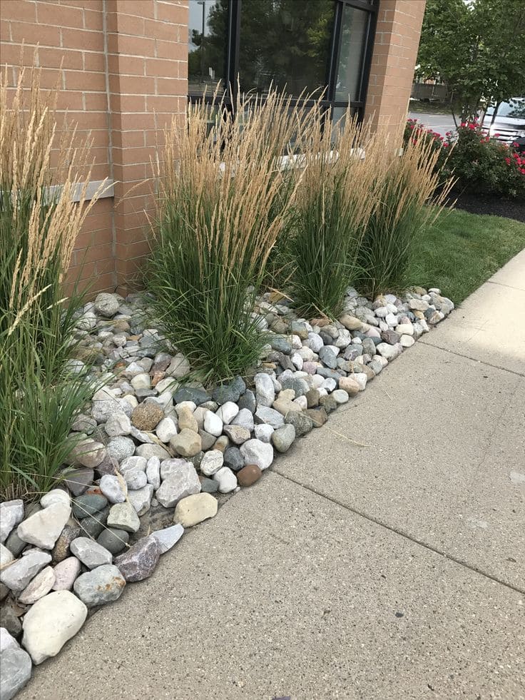 River Rock Border with Grasses