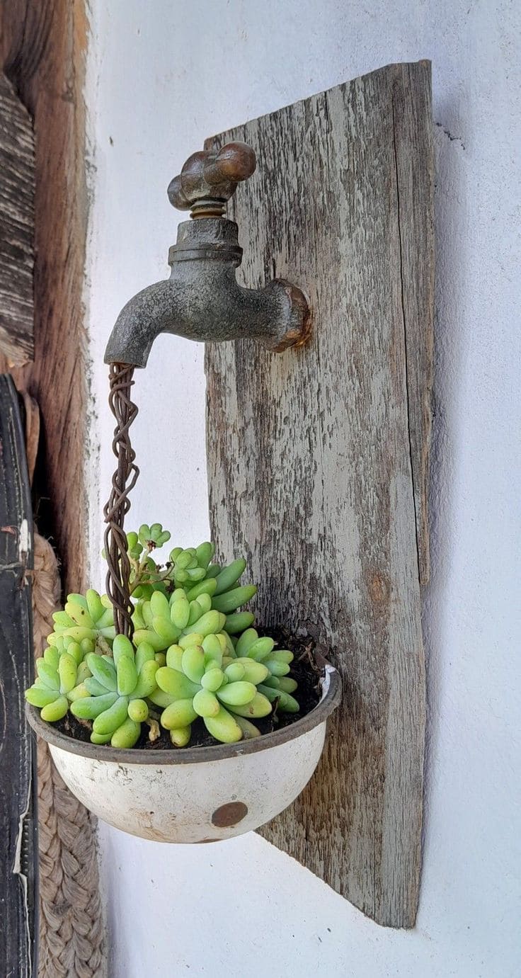 Rustic Tap Succulent Wall Planter