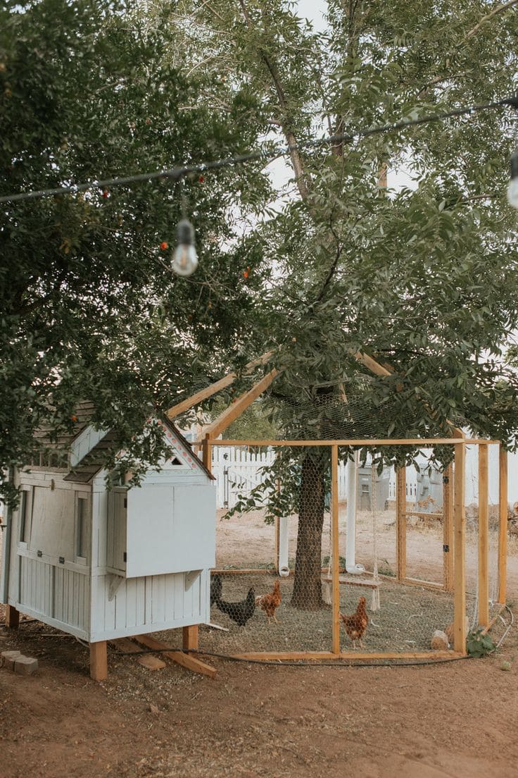 Rustic Tree-Shaded DIY Chicken Haven