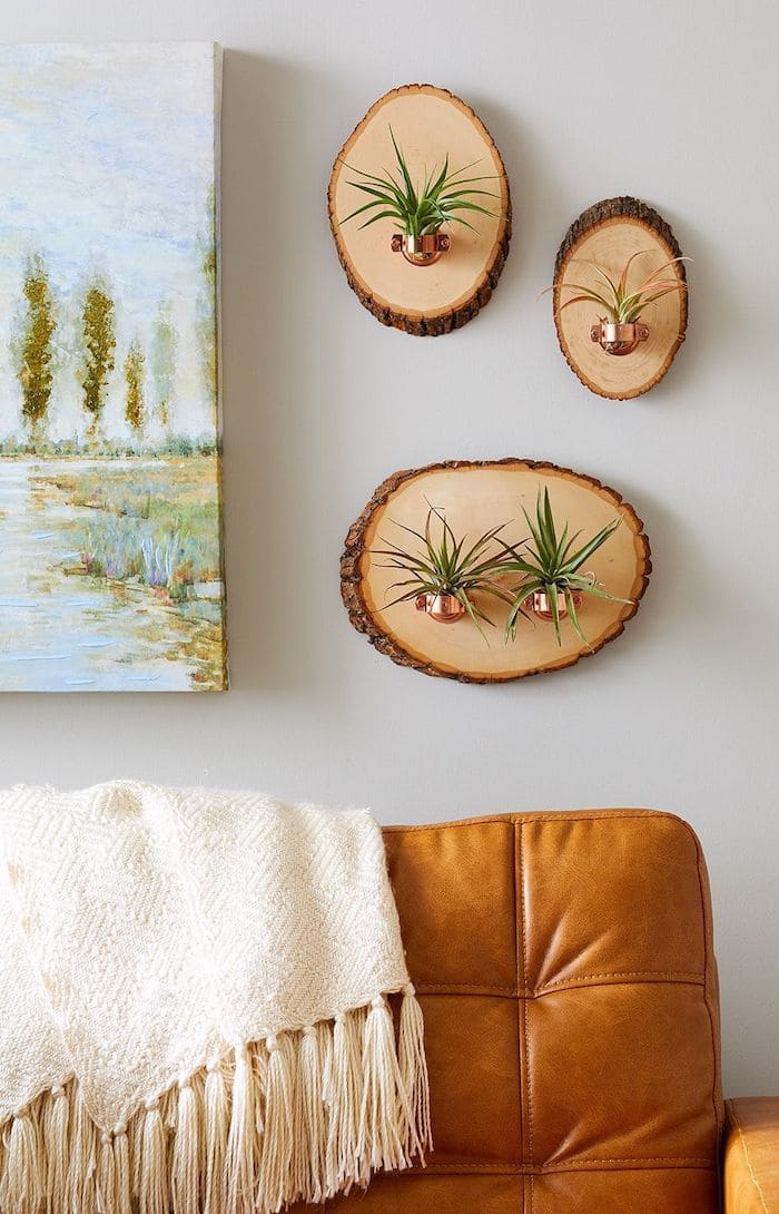 Rustic Wood Slice Wall Planters