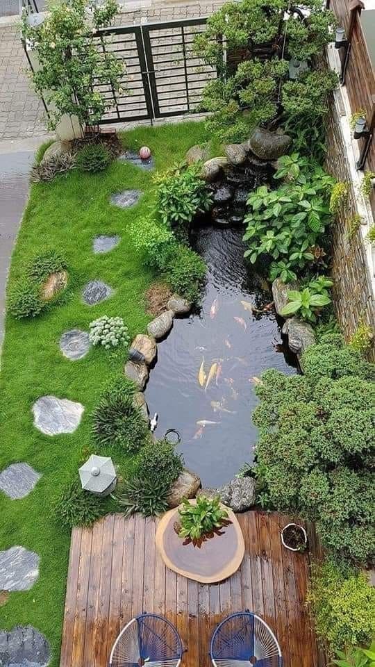 Serene Backyard Oasis with Koi Pond