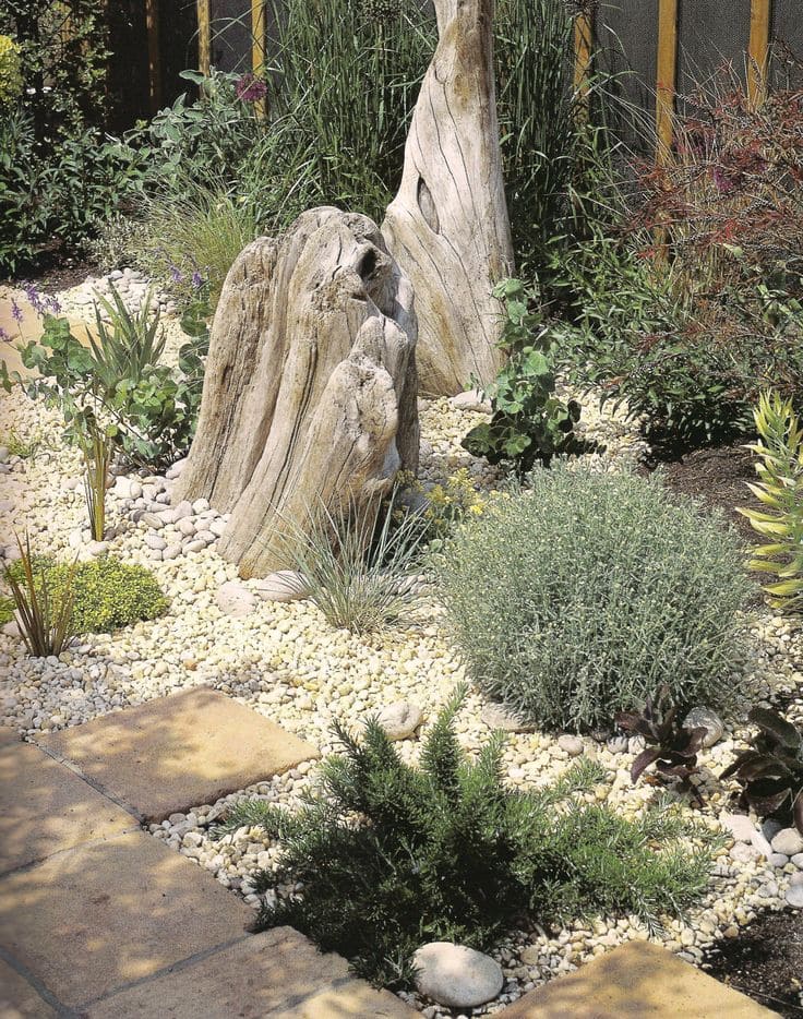 Serene River Rock Path with Driftwood Accent