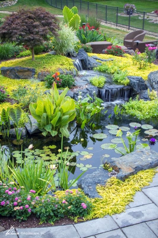 Serene Waterfall Oasis