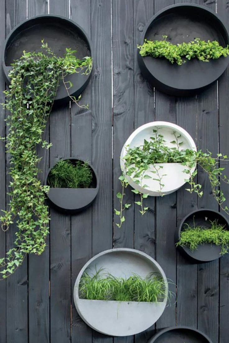 Stylish Circular Wall Planter Display