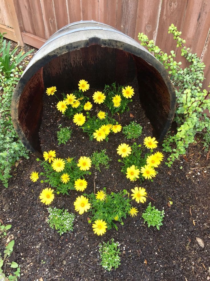 Sun-Kissed Barrel Spilled Flower Arrangement