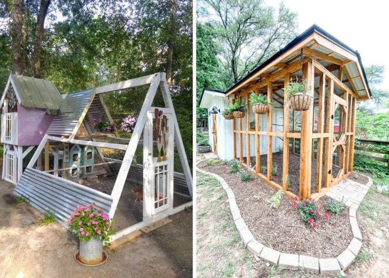 25 Creative DIY Chicken Coop Ideas You Can Make for Your Feathered Friends