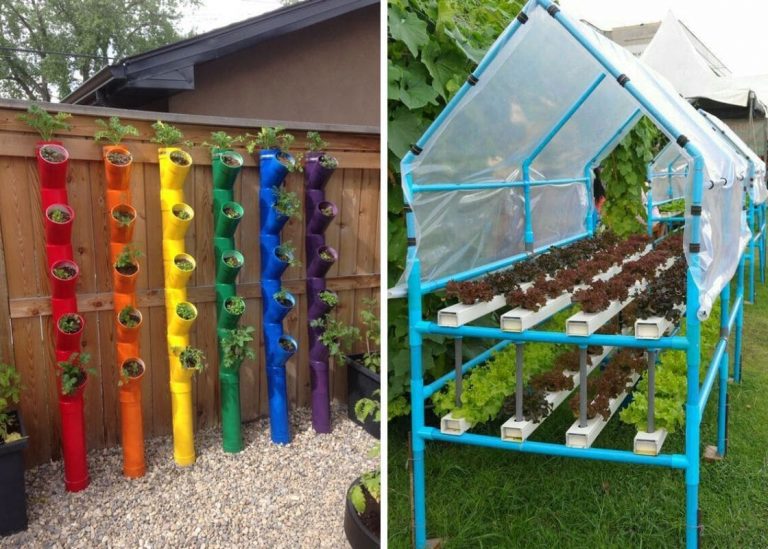 20 Creative PVC Pipe Garden Projects to Transform Your Outdoor Space