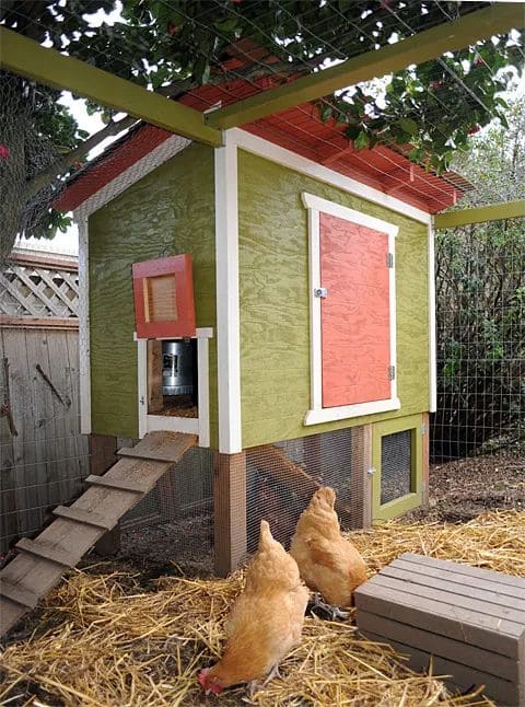 Vibrant Elevated DIY Chicken Retreat