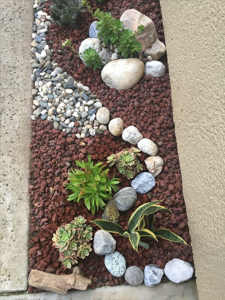 Vivid Succulent and Rock Pathway Design