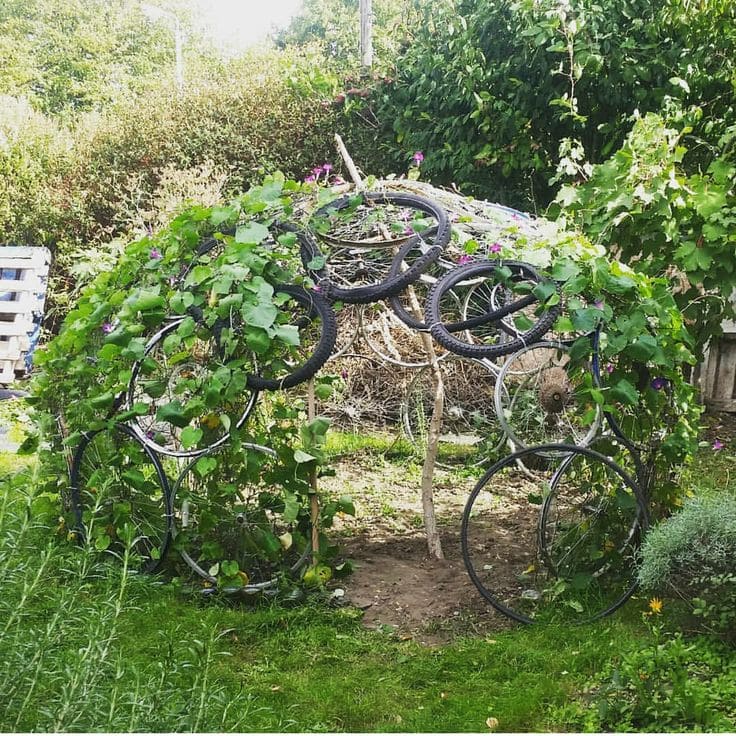 Bicycle Wheel Garden Dome for Climbing Vines