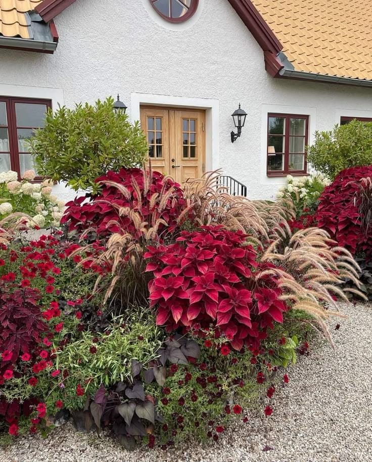 Bold and Vibrant Entryway Garden Design