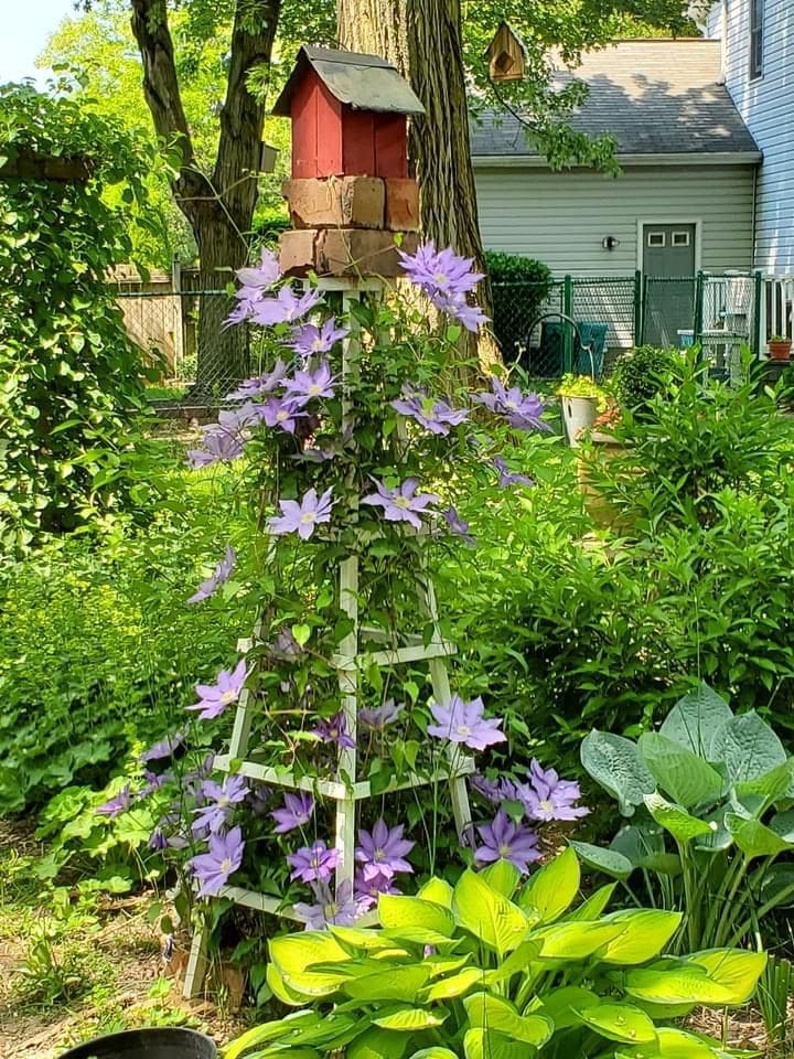 Charming Ladder Trellis with Birdhouse Topper