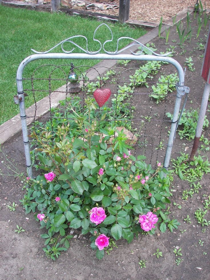 Charming Vintage Gate Trellis for Roses